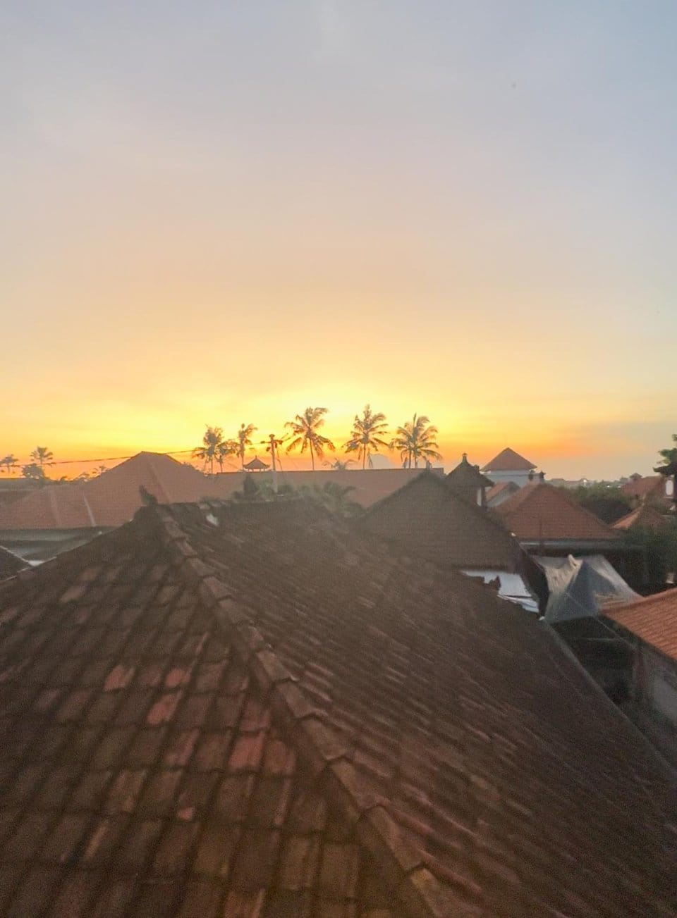 Sunset terrace view at Slavic Roots Cafe & Eatery in Berawa, Canggu, Bali