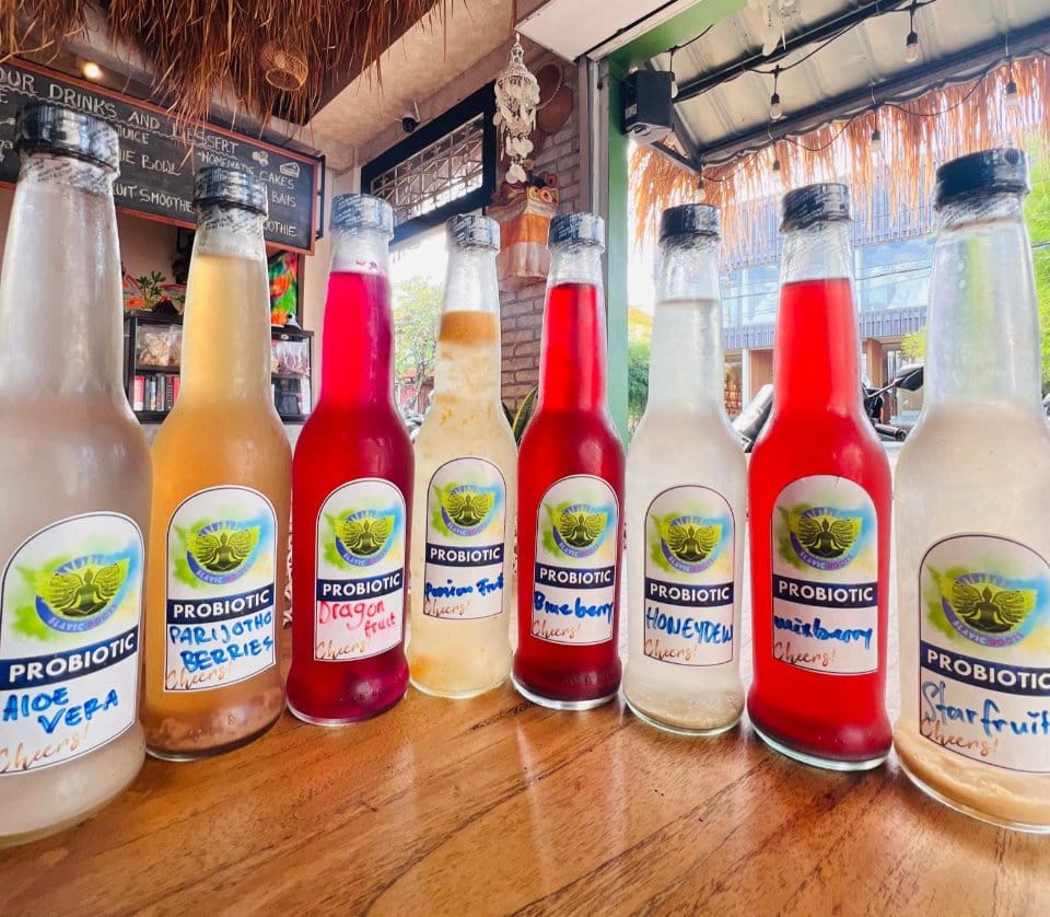 Organic homemade kombucha and water kefir drinks at Slavic Roots Cafe in Berawa, Canggu, Bali